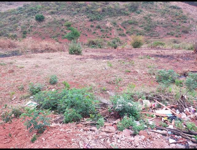 50,000M² FARM FOR SALE IN NGOVHELA